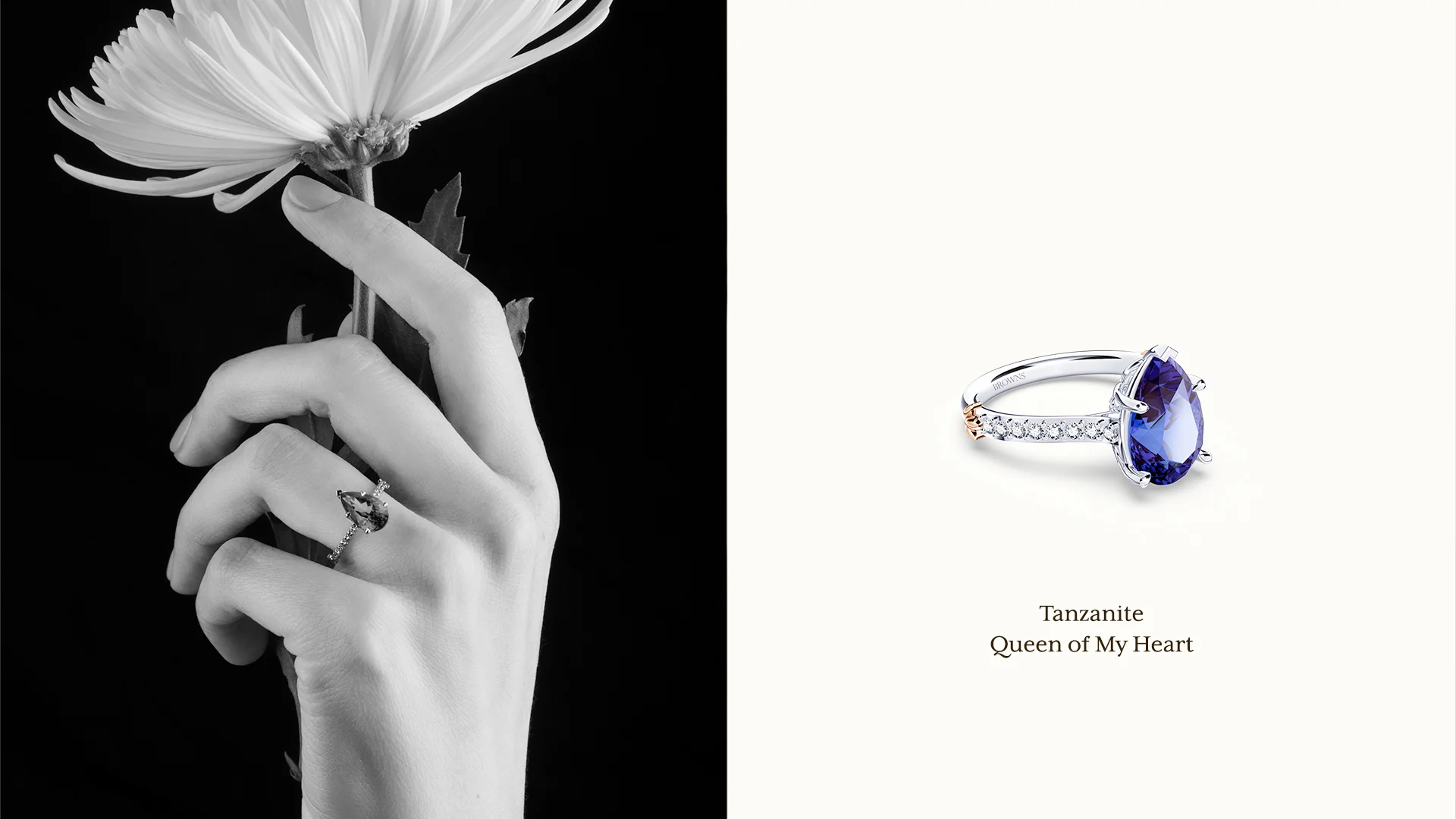 Timeless Radiance Since 1934